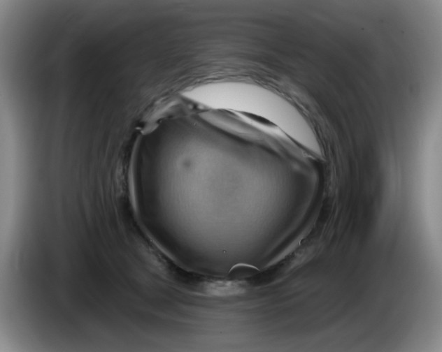 X0000083970465200703091806