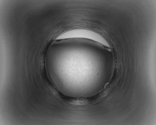 X0000083970466200703091806
