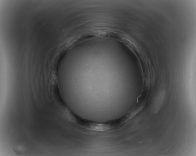 X0000083970467200703091806