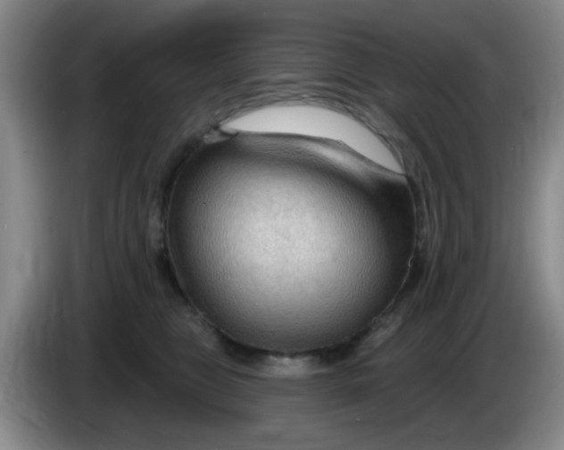 X0000083970469200703091806