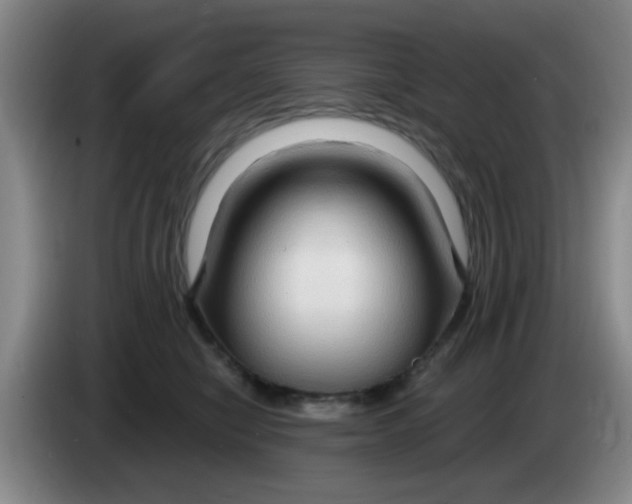 X0000083970470200703091806