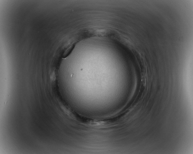 X0000083970472200703091806