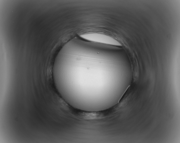 X0000083970473200703091806