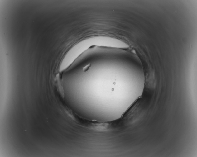 X0000083970474200703091806