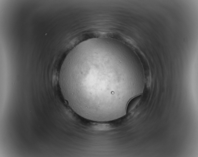 X0000083970476200703091807