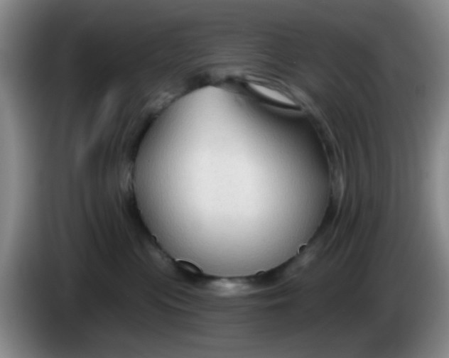X0000083970477200703091807