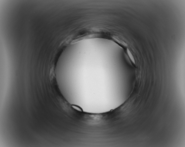 X0000083970478200703091807