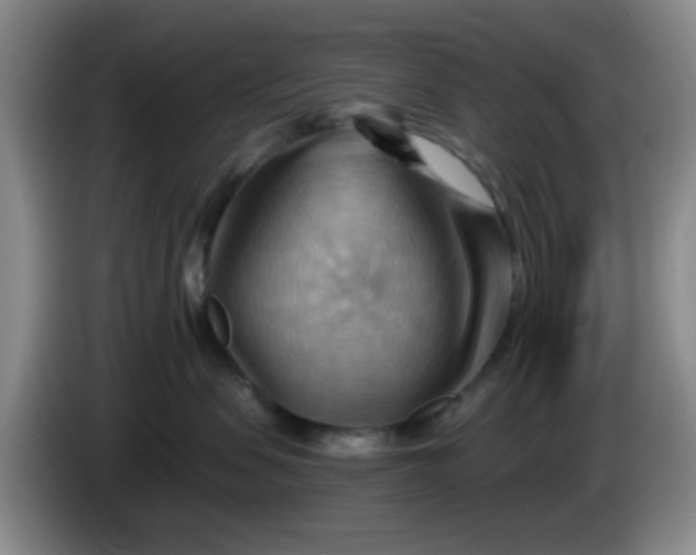 X0000083970479200703091807