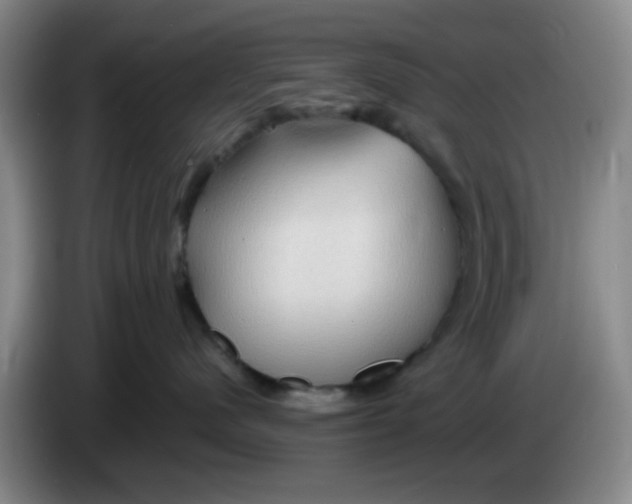 X0000083970480200703091807