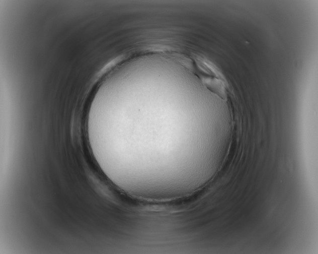 X0000083970482200703091806