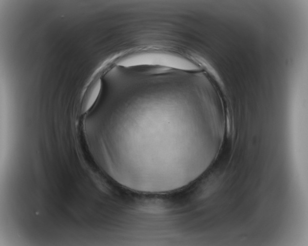 X0000083970483200703091806