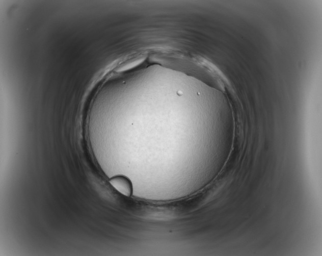X0000083970486200703091806