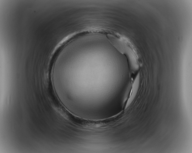 X0000083970488200703091806
