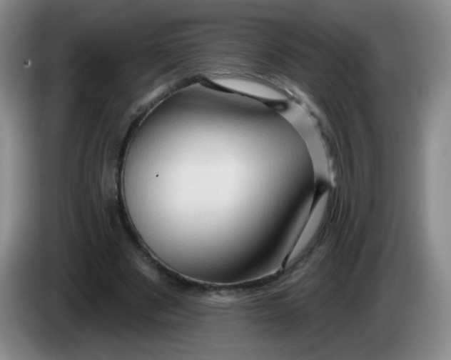 X0000083970489200703091806