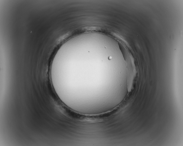 X0000083970490200703091806