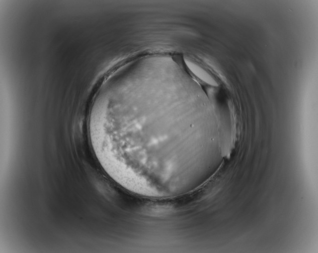 X0000083970491200703091806