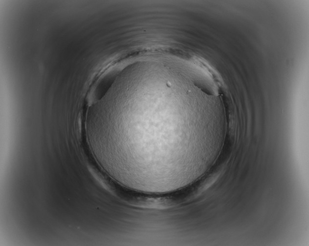 X0000083970493200703091806