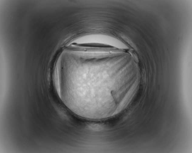 X0000083970494200703091806