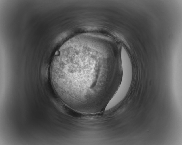 X0000083970495200703091806