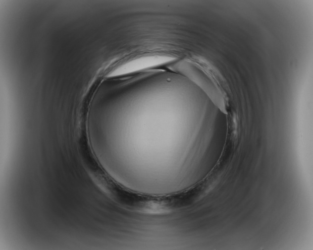 X0000083970496200703091806