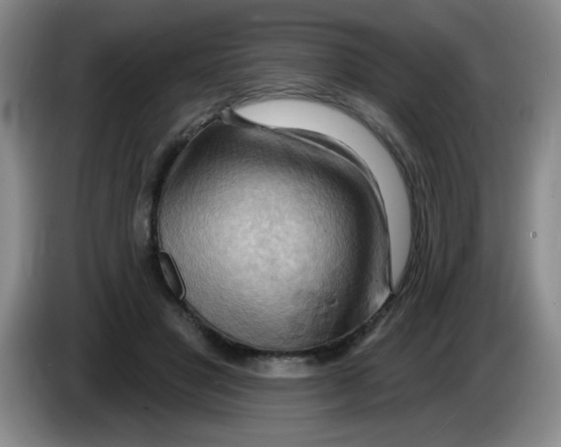 X0000083970501200703091806