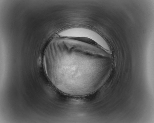 X0000083970502200703091806