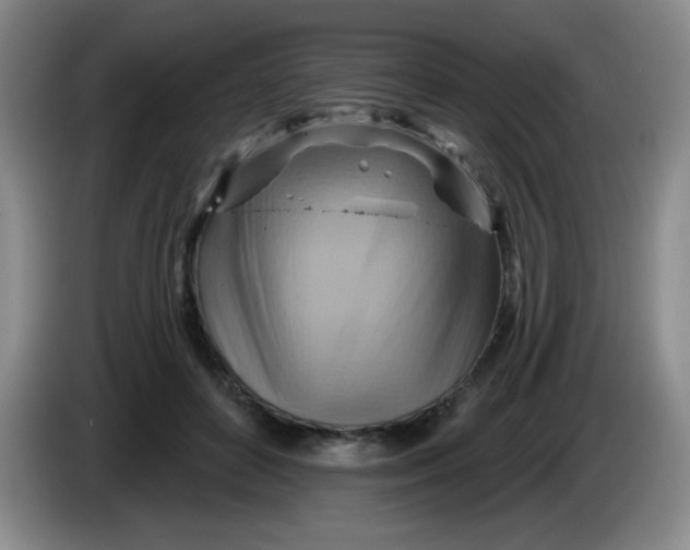 X0000083970504200703091806