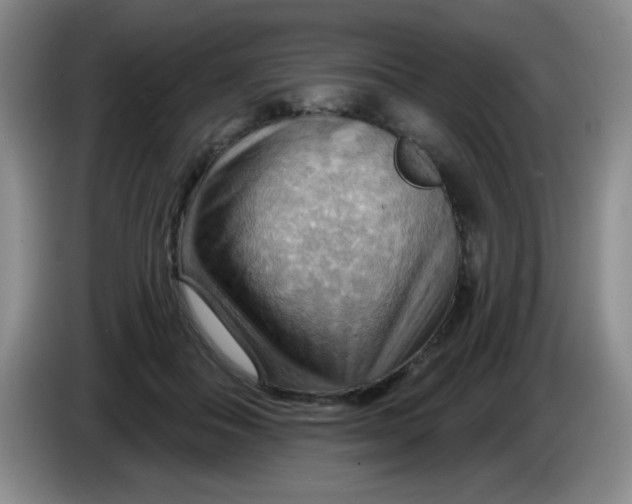 X0000083970506200703091806