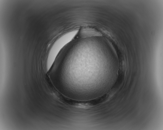 X0000083970508200703091806