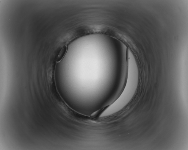 X0000083970509200703091806