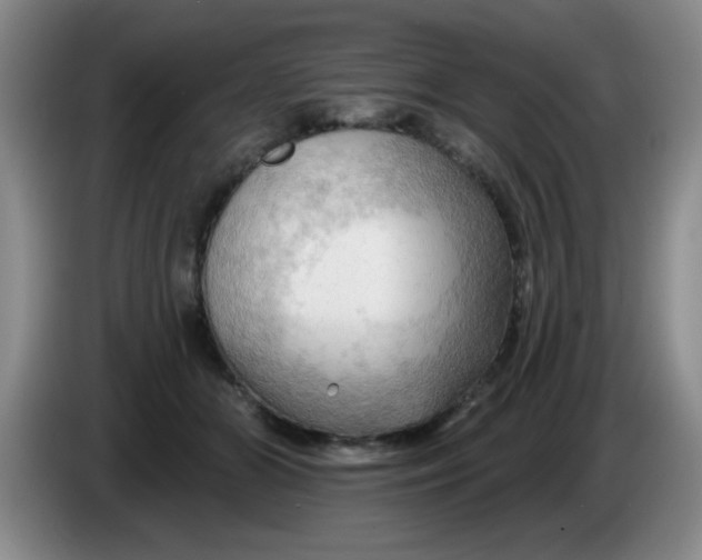 X0000083970510200703091806