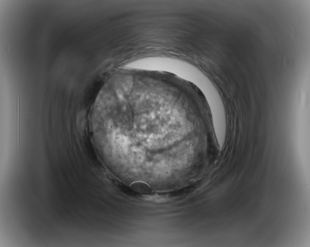 X0000083970511200703091806