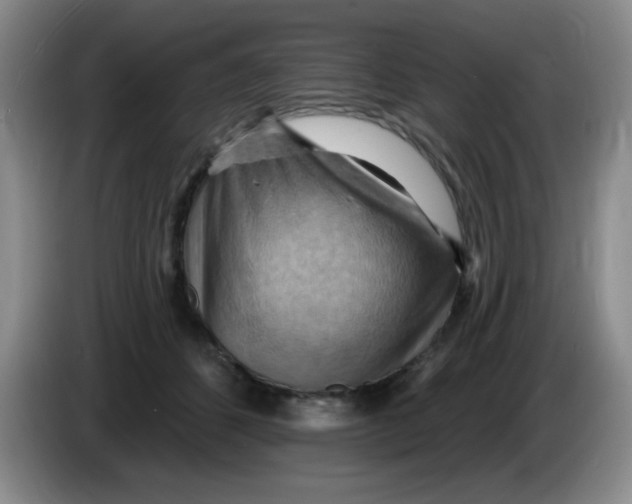 X0000083970512200703091805