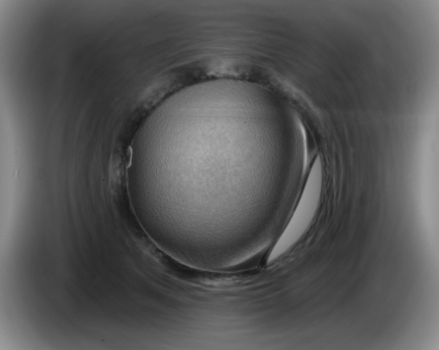X0000083970513200703091805