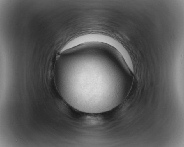 X0000083970515200703091805