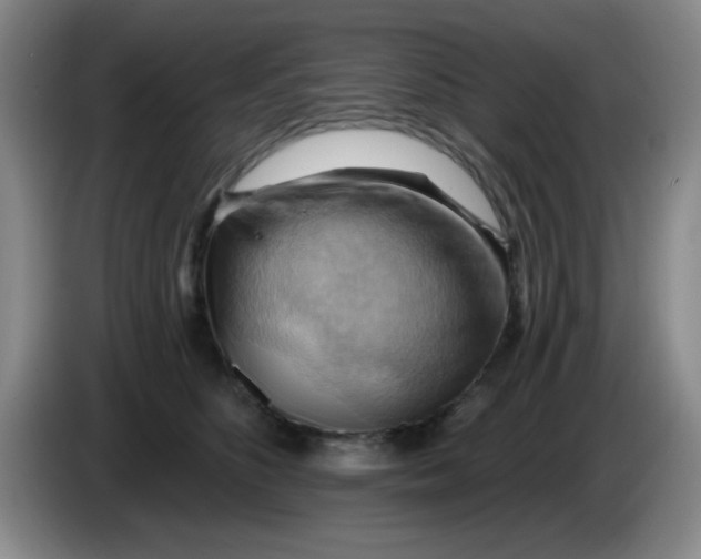 X0000083970516200703091805