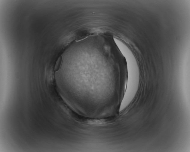 X0000083970517200703091805