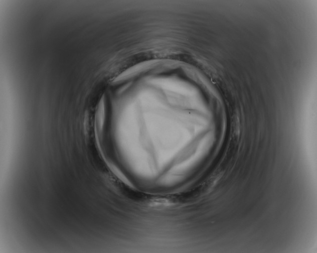 X0000083970519200703091805