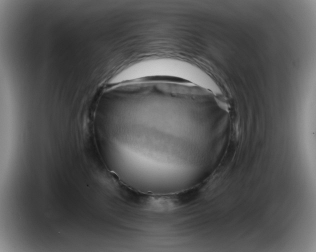 X0000083970520200703091805