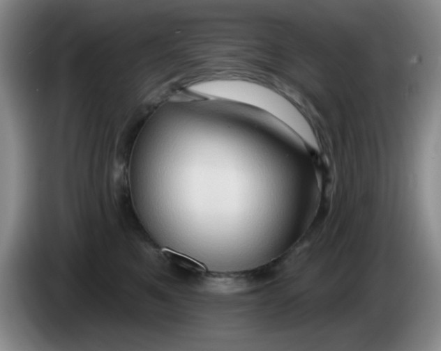 X0000083970521200703091805