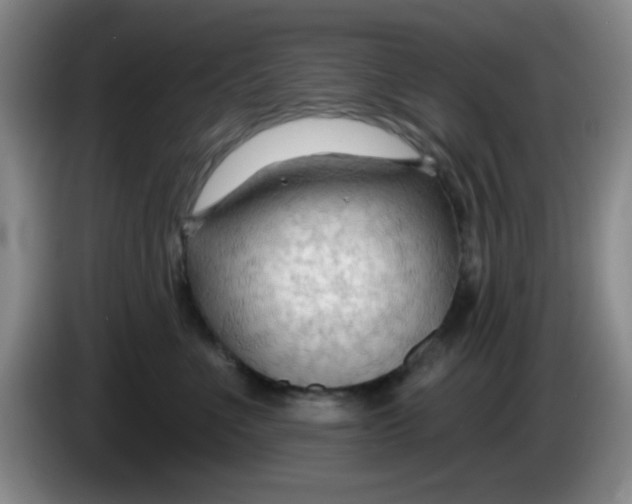 X0000083970523200703091805