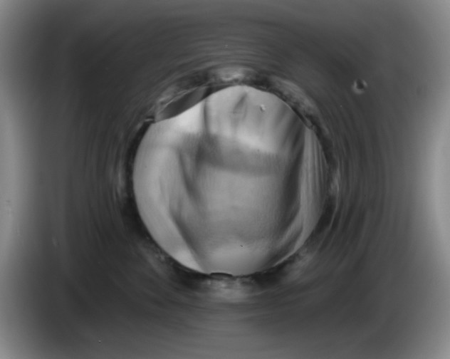 X0000083970524200703091805
