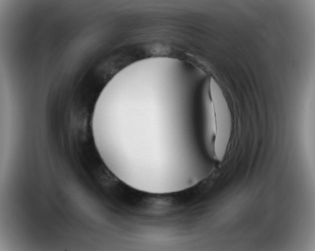 X0000083970525200703091805