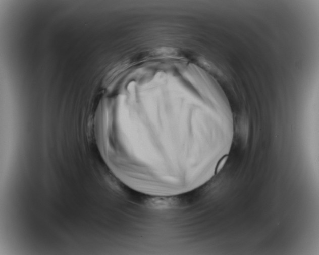 X0000083970526200703091805