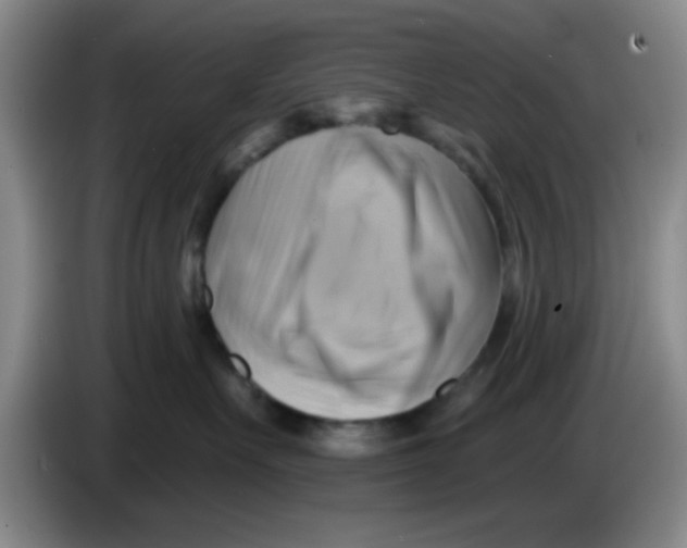 X0000083970527200703091805