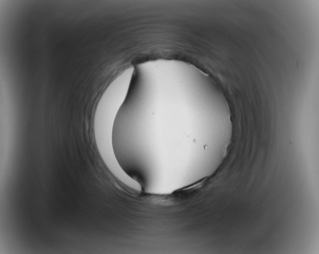 X0000083970528200703091805