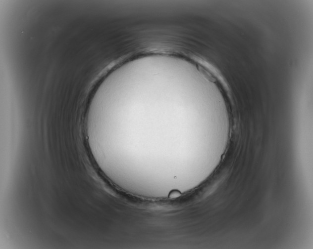 X0000083970529200703091805