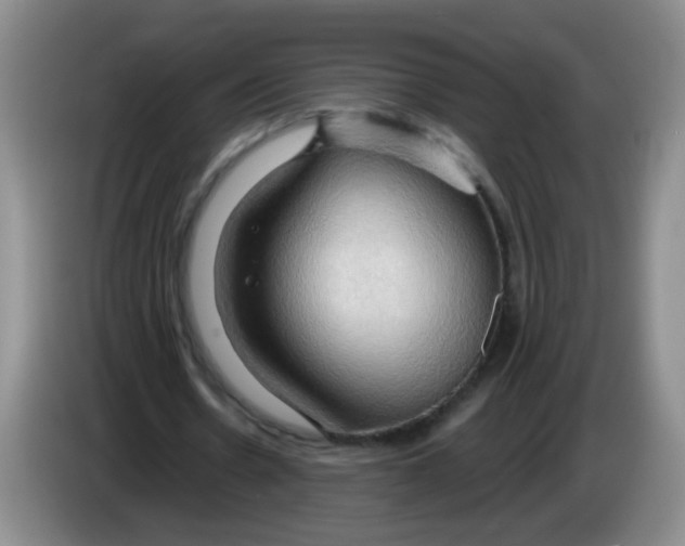 X0000083970530200703091805