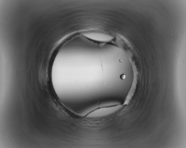 X0000083970532200703091805