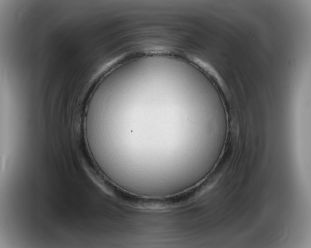 X0000083970533200703091805